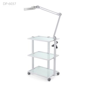 DP6037